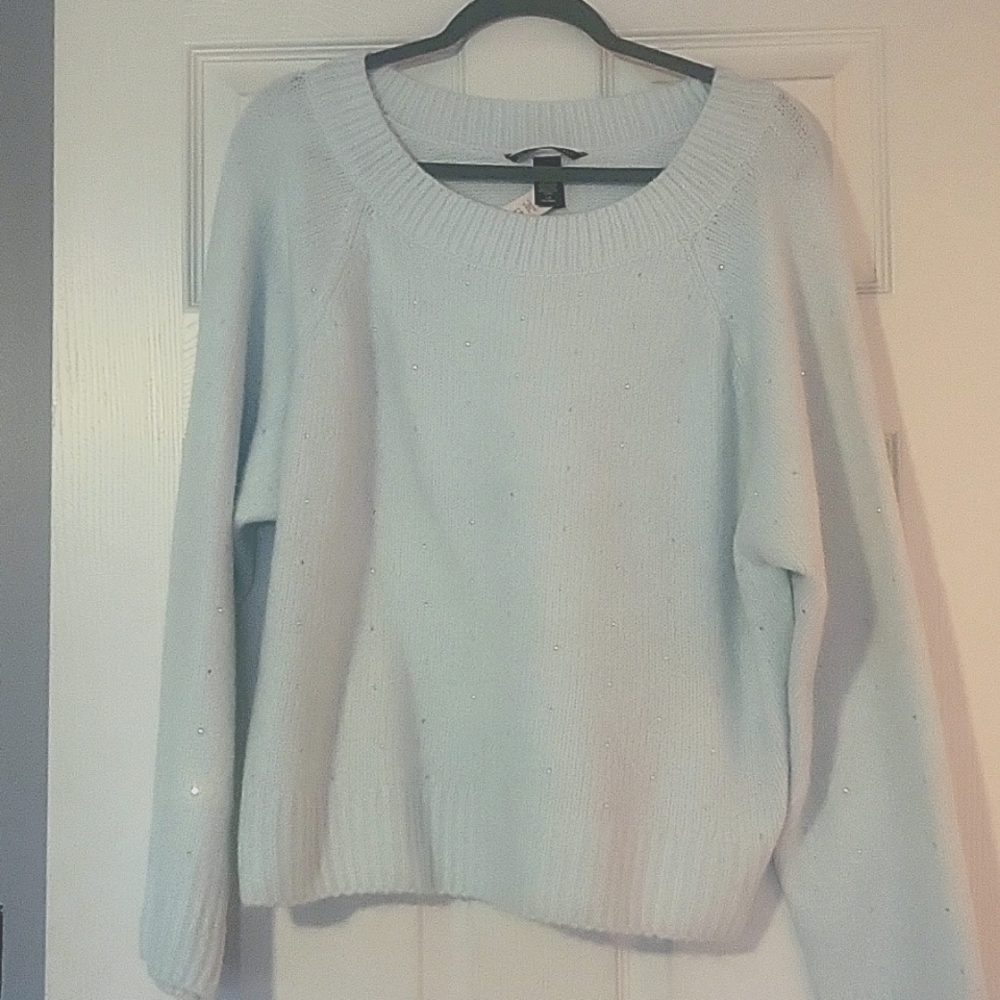 NWT Victorias Secret gorgeous, soft, sparkly, mint green sweater.